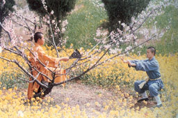Qi Gong der Shaolin Mönche