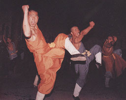Gedächtnis-Boxen der Shaolin: Jingang Hammer