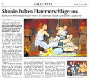 "Salzgitter Zeitung" Mo. 19.01.2009
